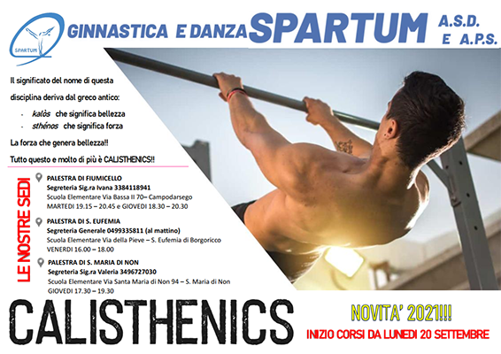 Calisthenics